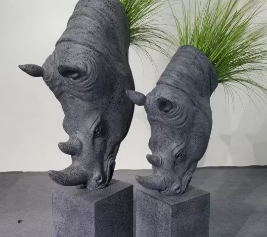 Вазоны носороги